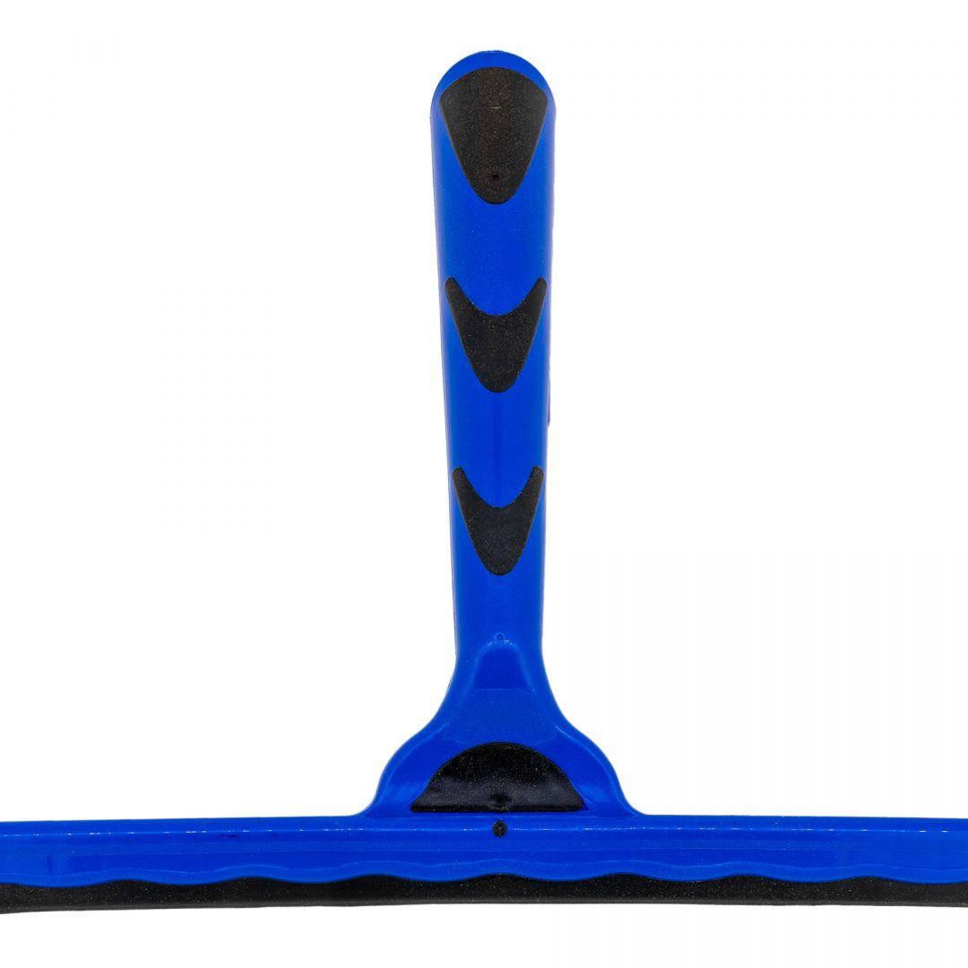 Lengua de colores
